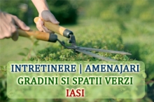 AMENAJARI GRADINI SRL