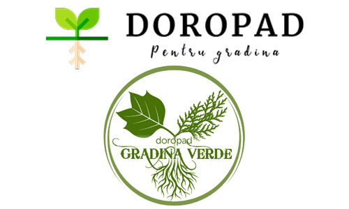 DOROPAD SRL