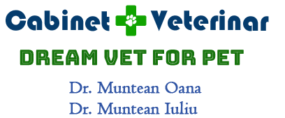 DREAM VET FOR PET SRL