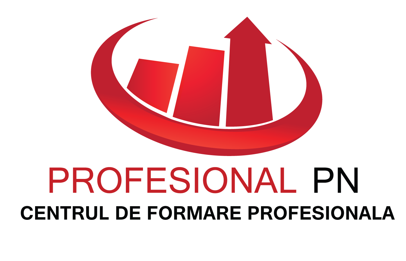 PROFESIONAL P.N. SRL