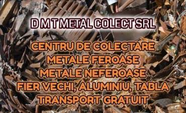 D M T METAL COLECT SRL