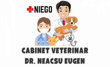 NIEGO SRL